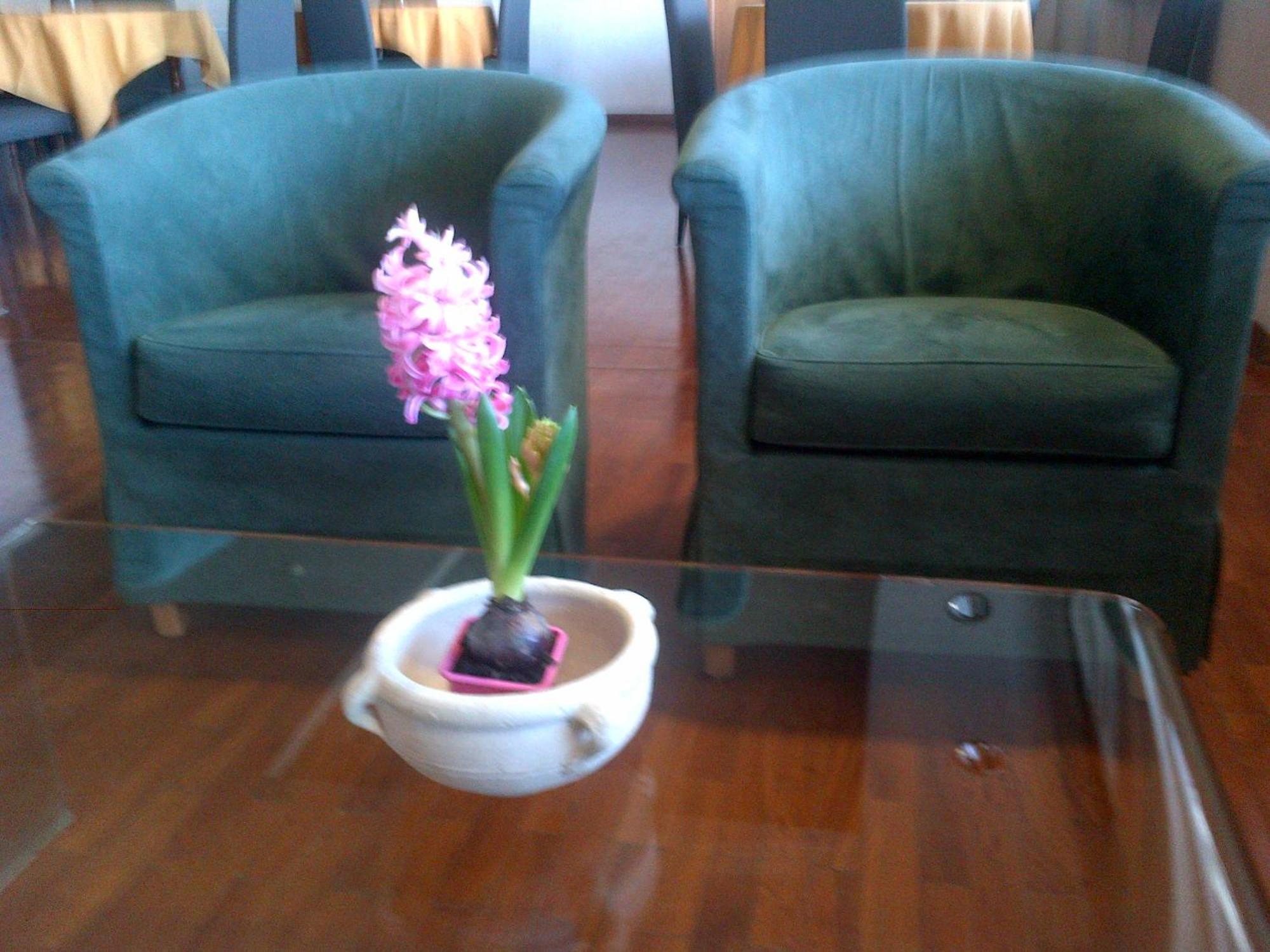 Hotel Barberino Barberino di Mugello Kültér fotó